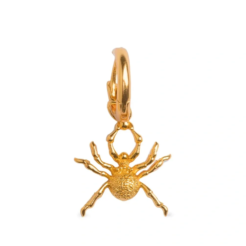 Серьги-кольца Spider