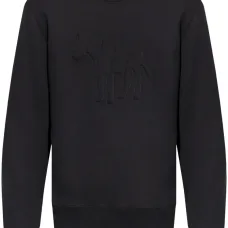 Толстовка Zebra