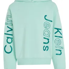 Худи с логотипом