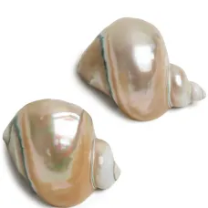 Набор Shell из двух колец для салфеток