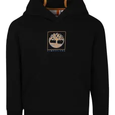 Худи с логотипом