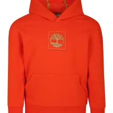 Худи с логотипом