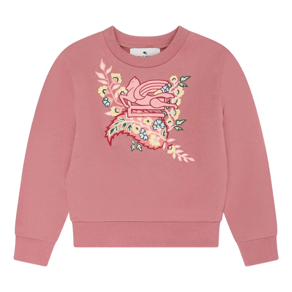 Толстовка с логотипом Pegaso