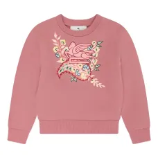 Толстовка с логотипом Pegaso