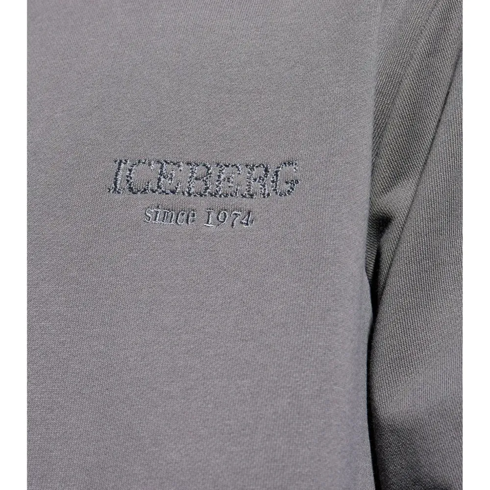 Толстовка с вышитым логотипом Толстовка с вышитым логотипом