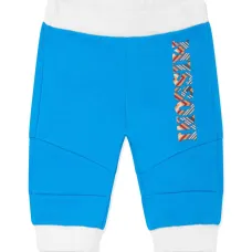 Спортивные брюки с логотипом