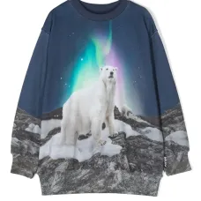 Толстовка Mattis