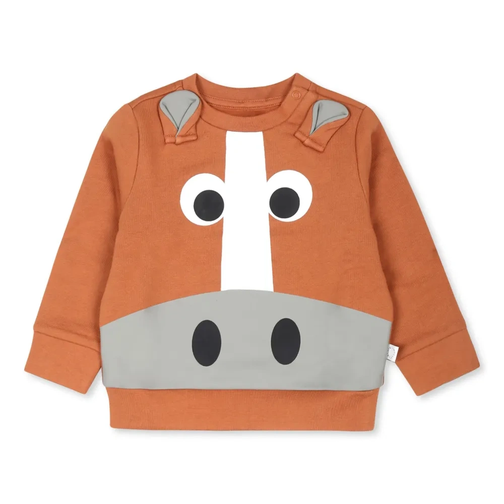 Толстовка Horse Graphic