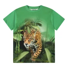 Футболка Riley