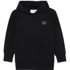 Худи с вышивкой Pegaso