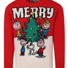 Джемпер Peanuts