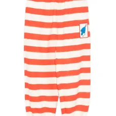 Спортивные брюки Bird