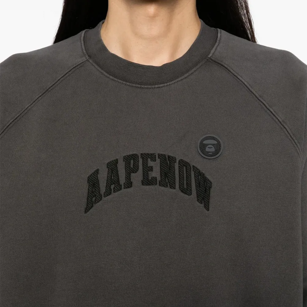 Толстовка AAPENOW