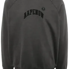 Толстовка AAPENOW