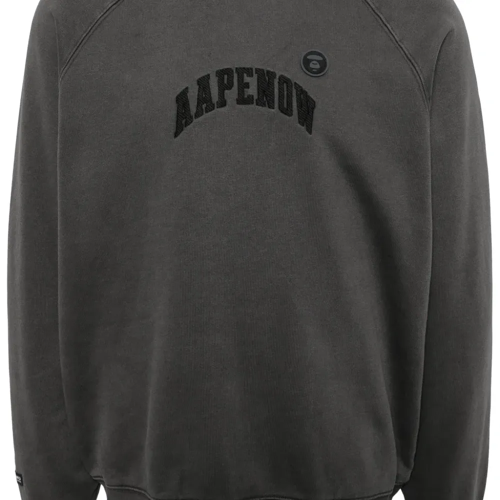Толстовка AAPENOW