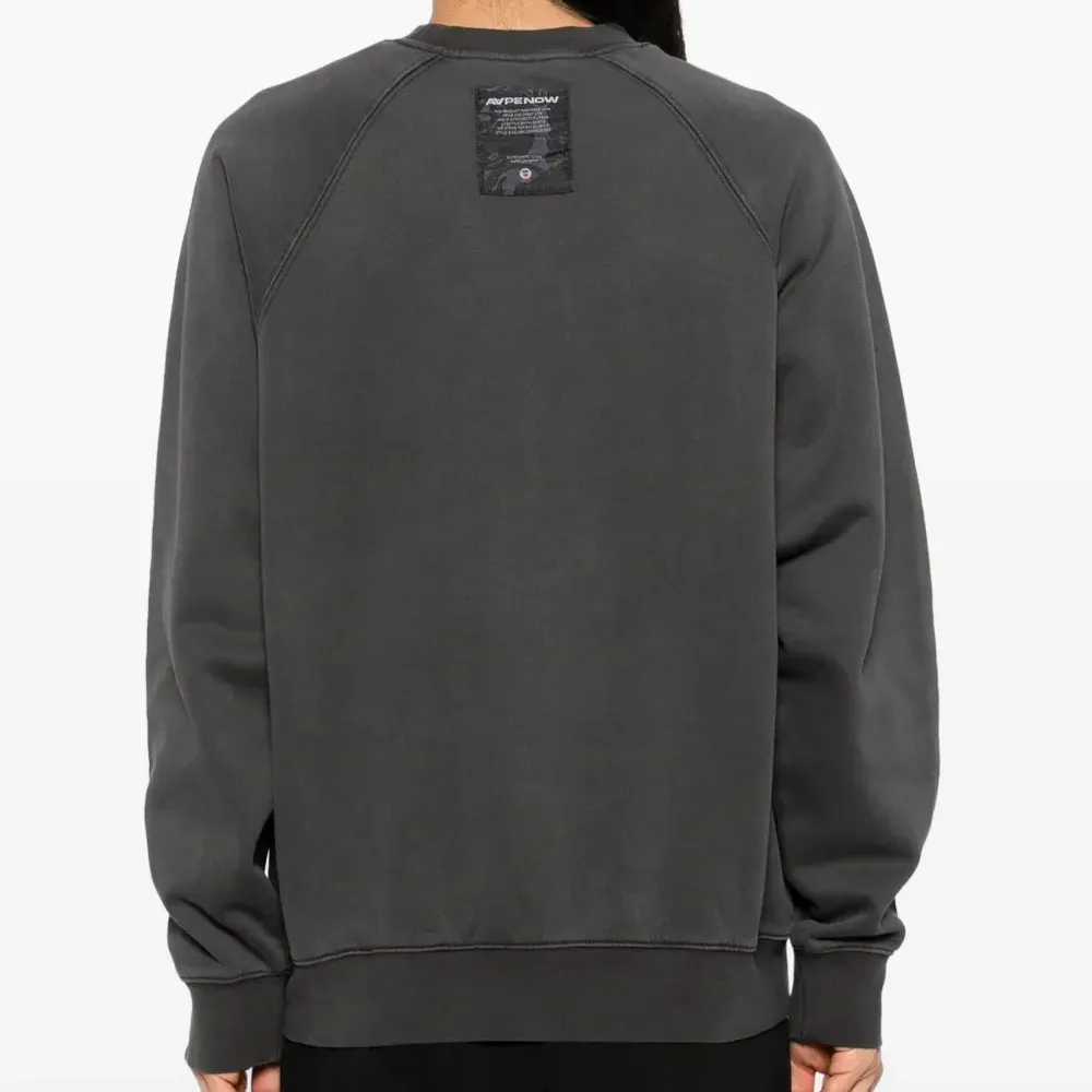 Толстовка AAPENOW
