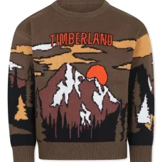 джемпер с графичным принтом джемпер с графичным принтом