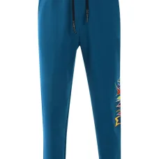 Спортивные брюки с вышитым логотипом