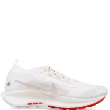 Кроссовки Pegasus Trail 5