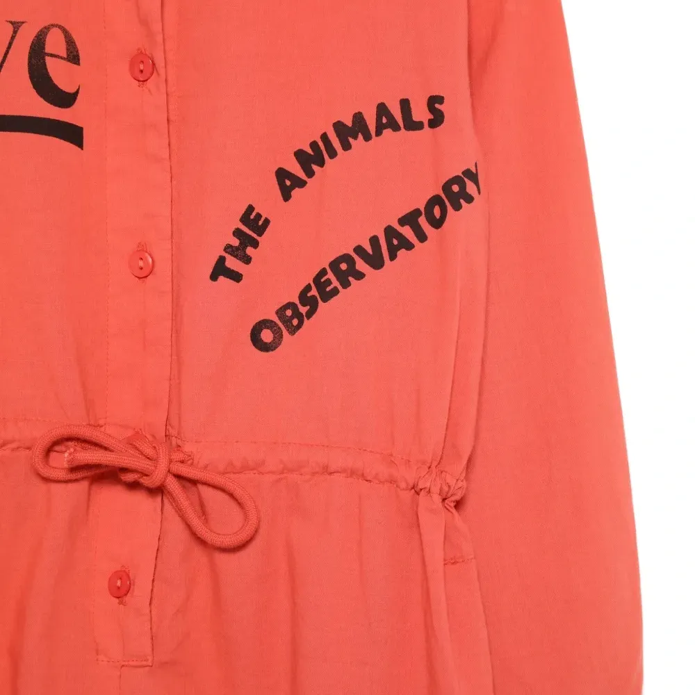 Комбинезон Squirrel