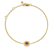 Позолоченный браслет February Birthstone