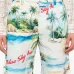 Шорты Island