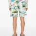 Шорты Island