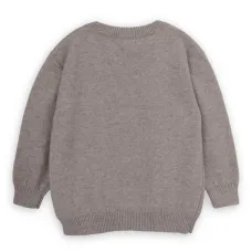 Джемпер Orangutan