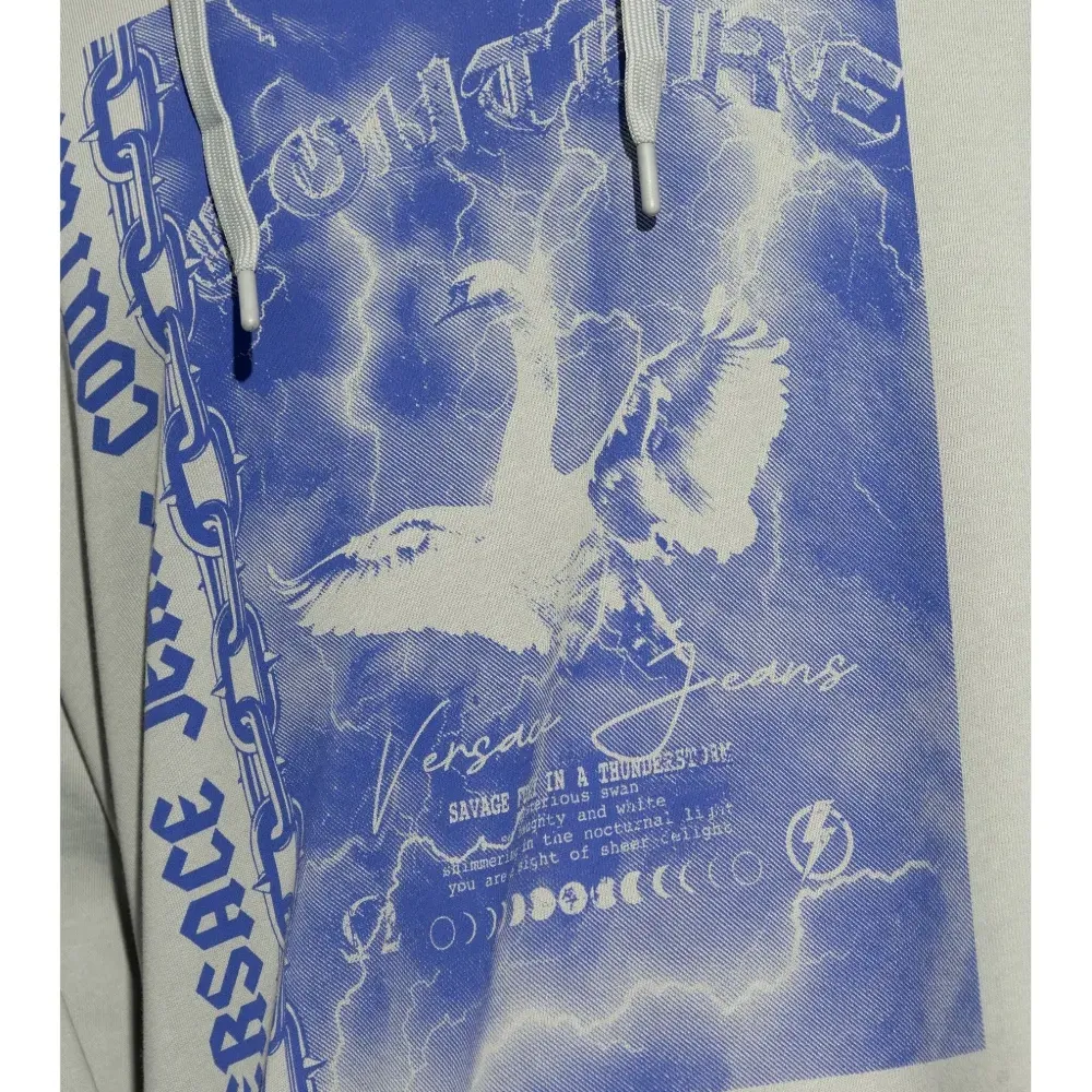 Худи Swan с логотипом