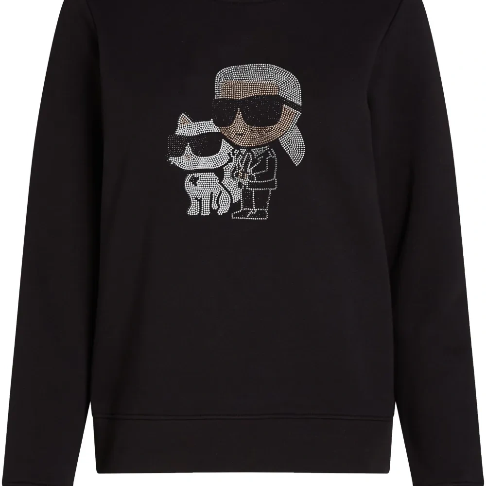 Толстовка Ikon Choupette со стразами