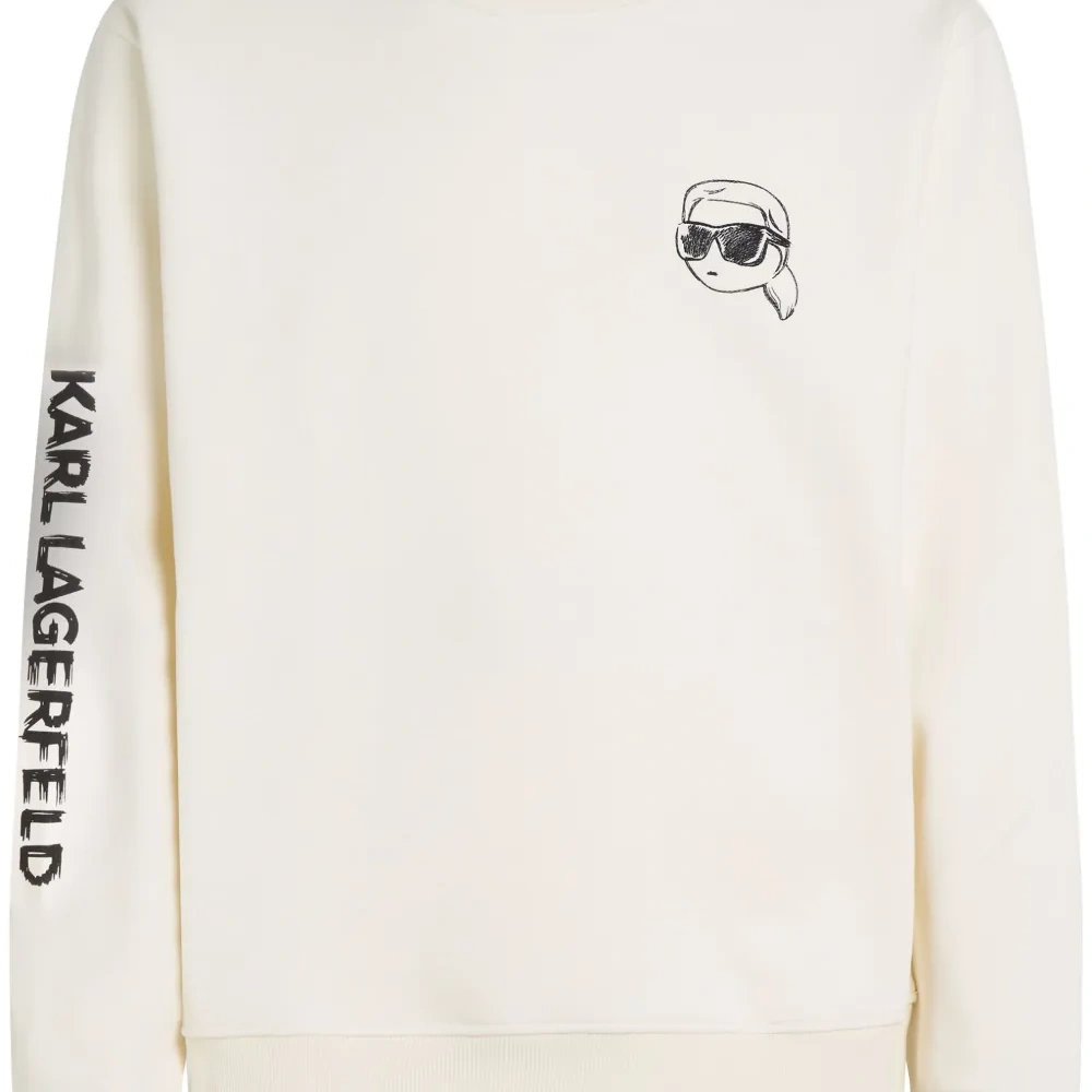 Толстовка Ikon