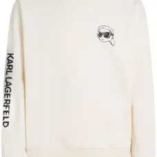 Толстовка Ikon