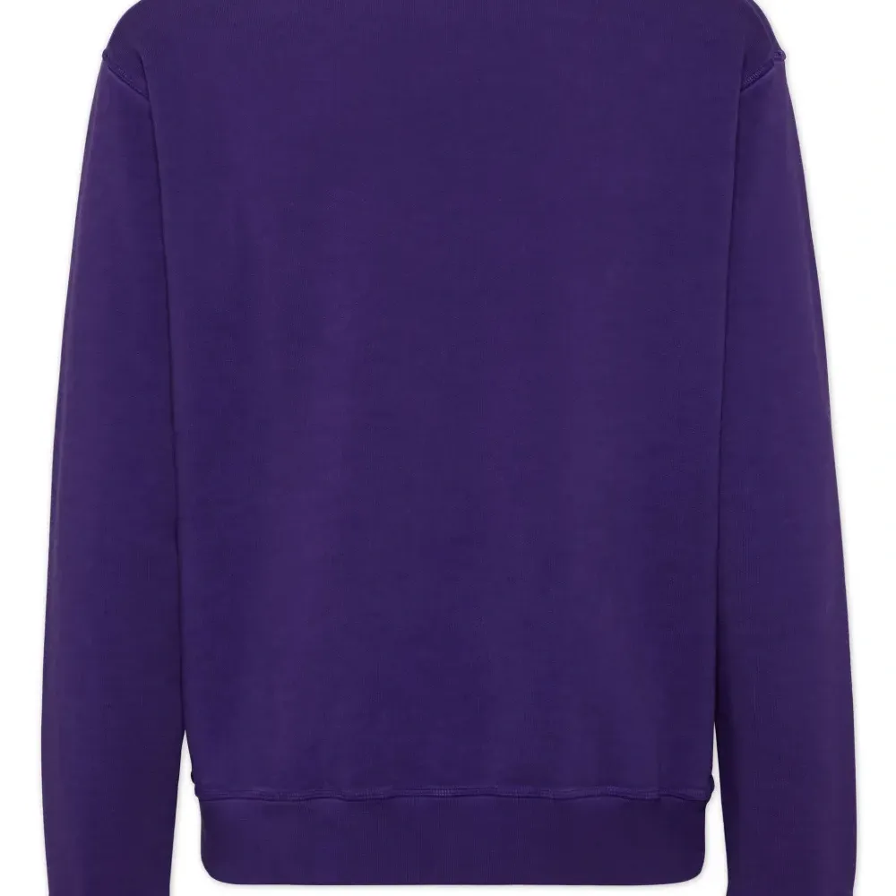 Толстовка Invicta