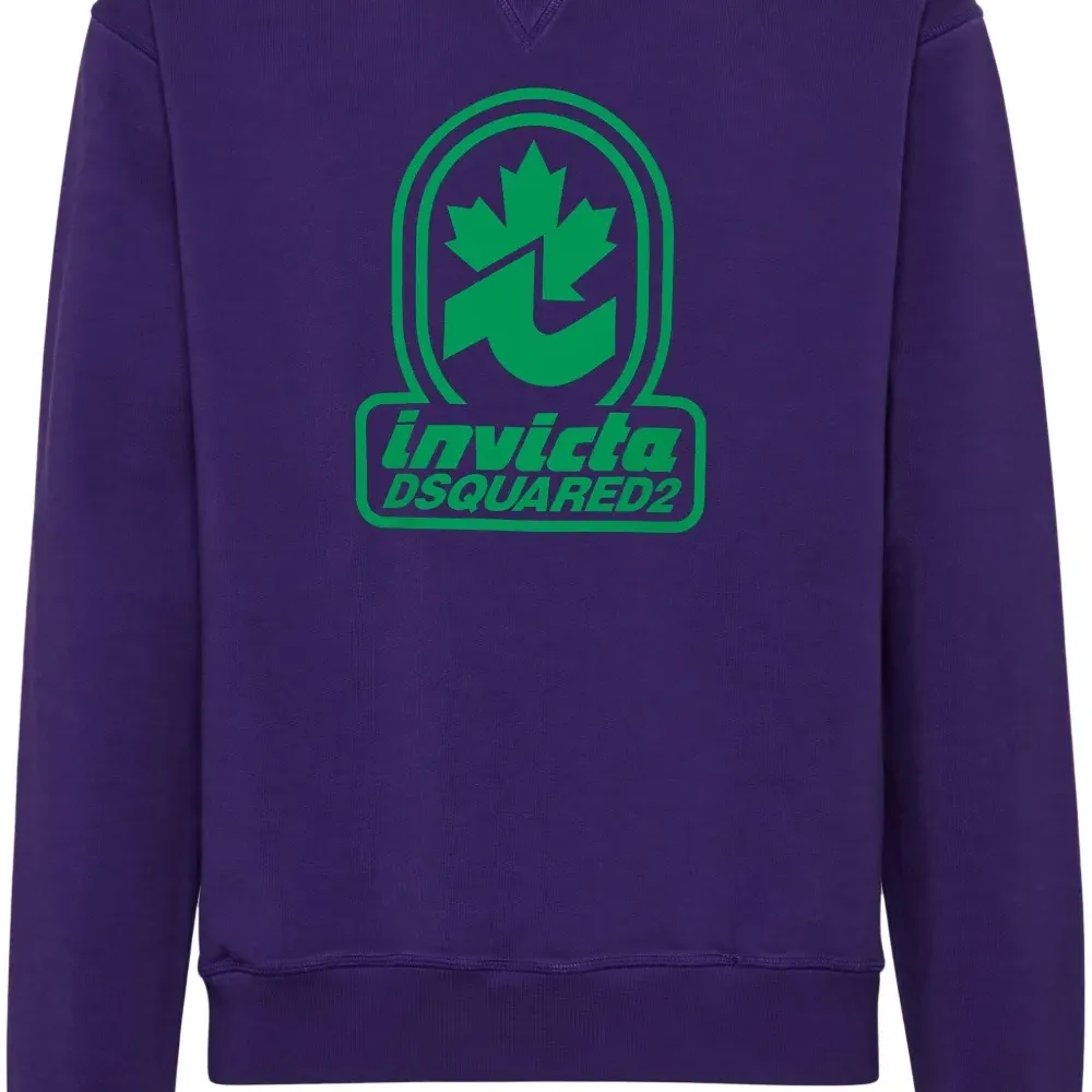 Толстовка Invicta