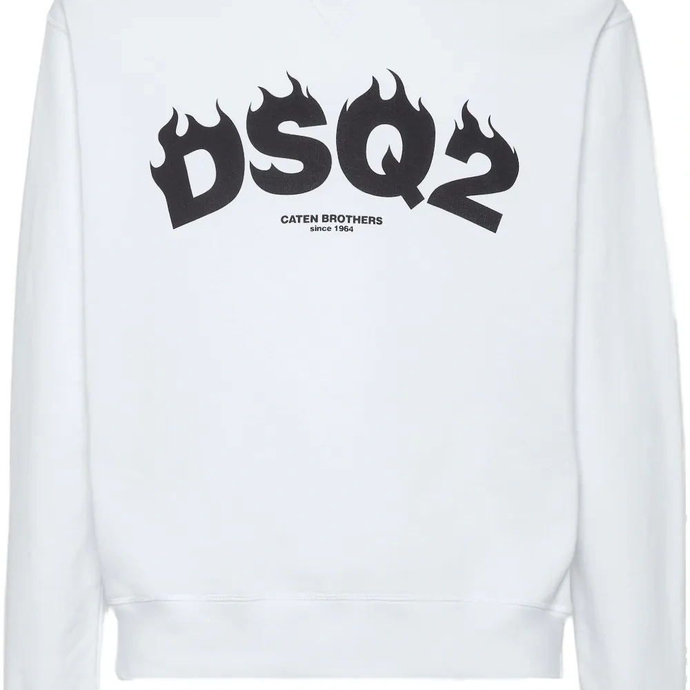 Толстовка DSQ2