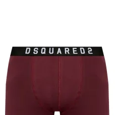 Боксёры с логотипом на поясе