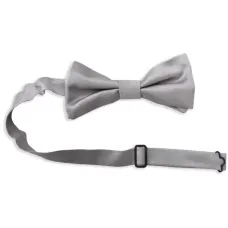 Галстук-бабочка