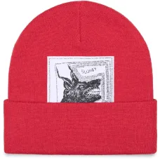 Шапка бини из коллаборации с The North Face