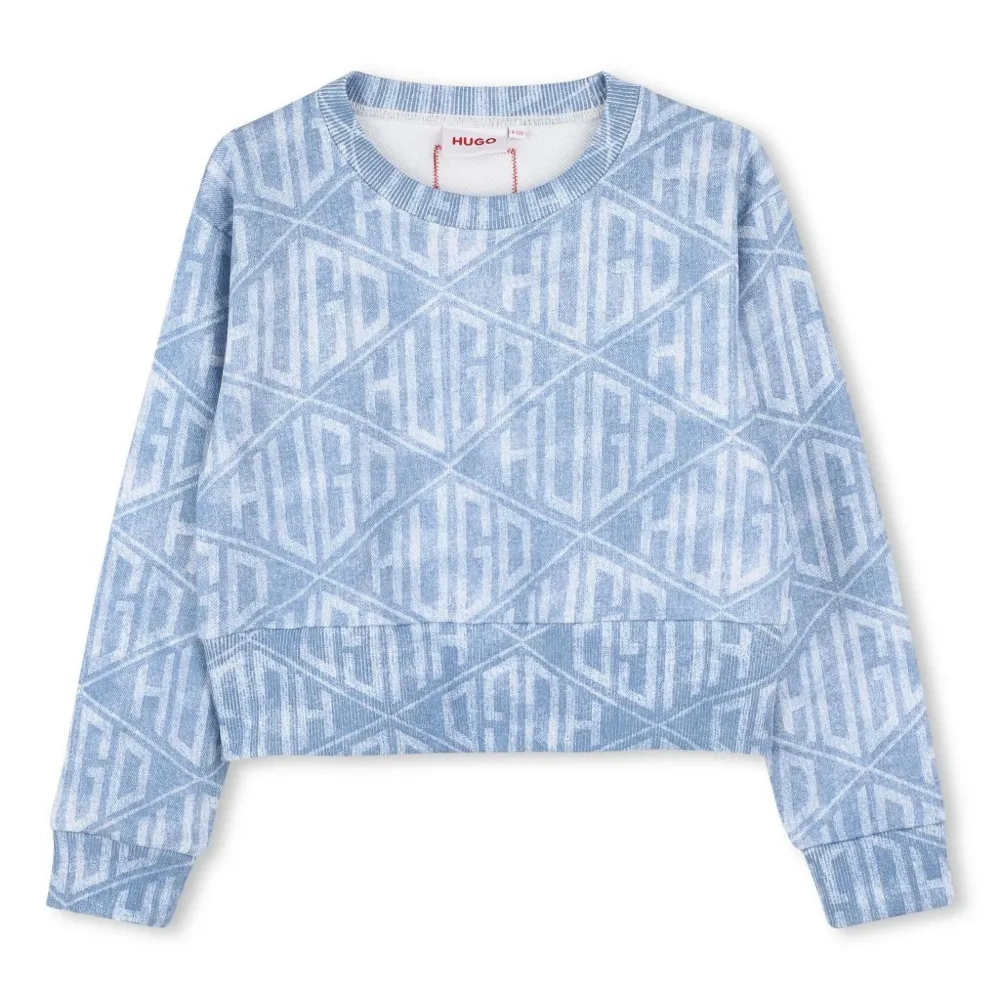 Толстовка с логотипом