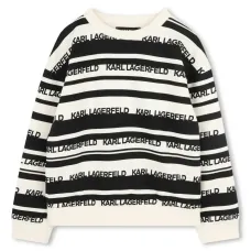 Толстовка с логотипом Толстовка с логотипом