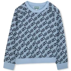 Толстовка с логотипом