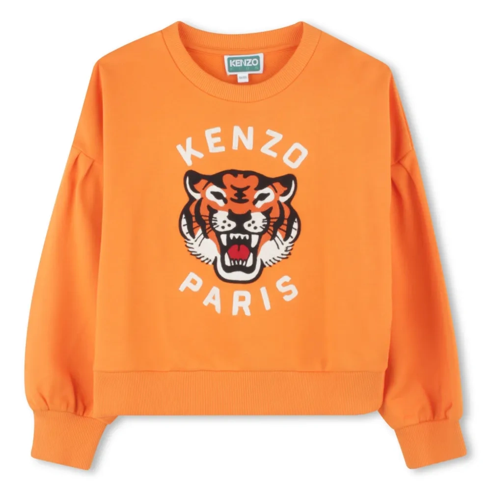 Толстовка Festive