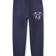 Спортивные брюки с вышитым логотипом