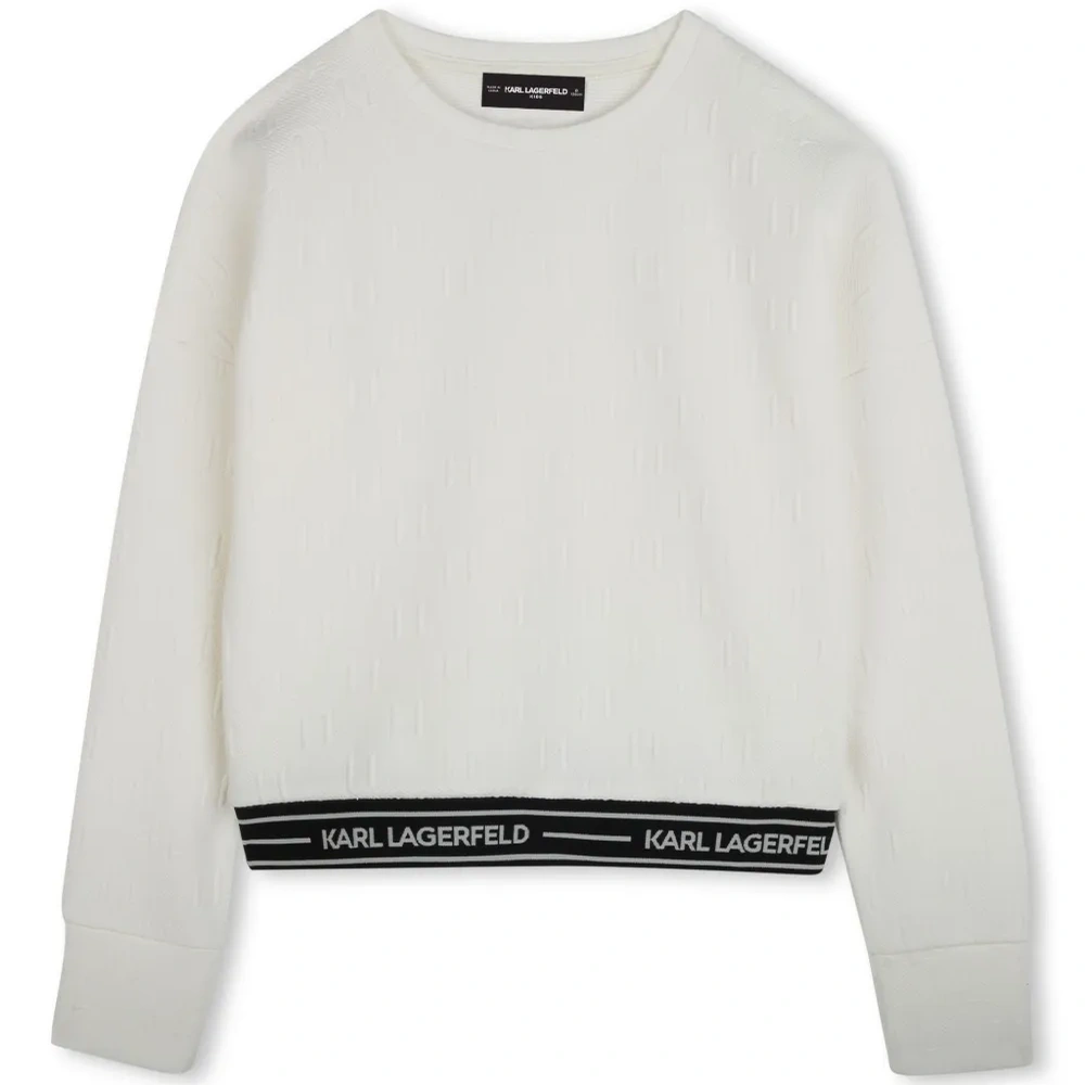 Толстовка с логотипом