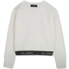 Толстовка с логотипом