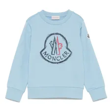 Толстовка с логотипом