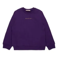 Толстовка с логотипом Толстовка с логотипом