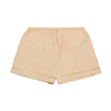 Шорты в полоску