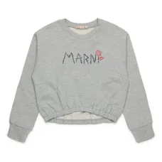 Толстовка с логотипом Толстовка с логотипом