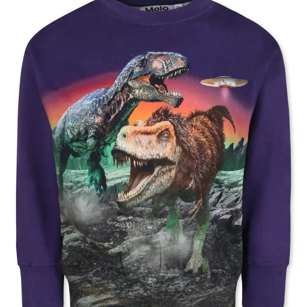 толстовка из органического хлопка с графичным принтом